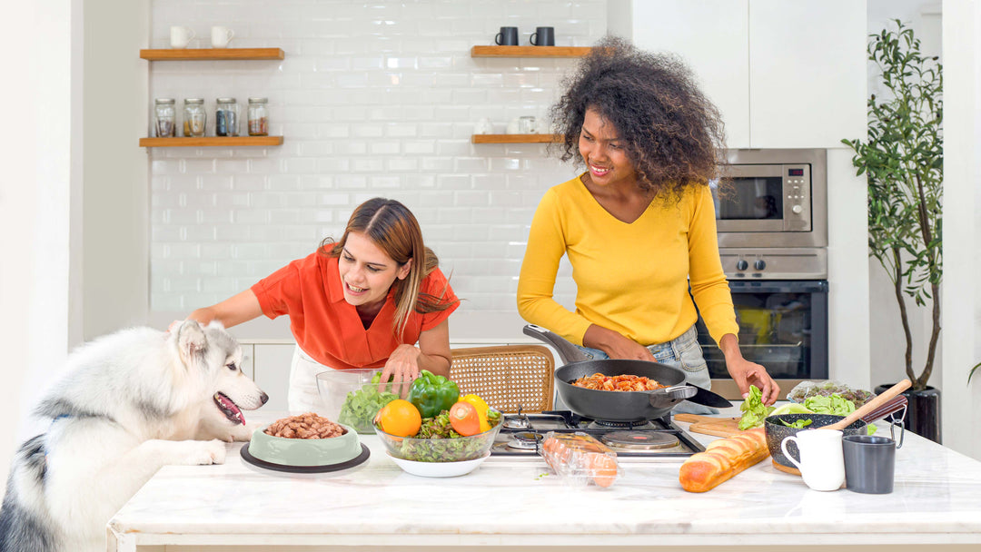 Cooking for Your Pets: Healthy Homemade Pet Treats Using Nonstick Cookware