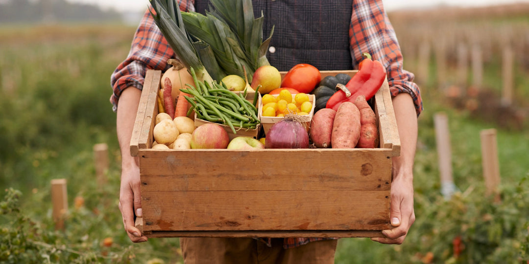 The Benefits of Eating Seasonally and Locally: A Fresh Approach to Healthy Cooking